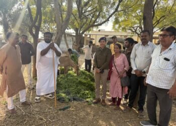 શંખેશ્વર તીર્થે જૈનાચાર્યની દીક્ષા તિથિએ ગૌશાળામાં ગાયોને લીલા શાકભાજી ખવડાવામાં આવ્યા