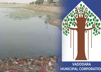 વડોદરાના ગોત્રી તળાવમાં કચરો ફેંકતા લારીધારકો સામે દંડાત્મક કાર્યવાહી | Punitive action against lorr…