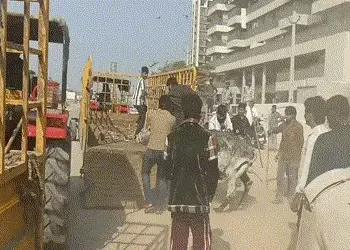 અમદાવાદ: હેબતપુરમાં રખડતાં ઢોરને પકડવા ગયેલી ટીમ સામે માથાકૂટ, ઢોરને જાણી જોઈને ભગાડ્યા બાદ નોંધાઈ ફ…