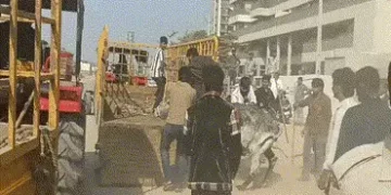 અમદાવાદ: હેબતપુરમાં રખડતાં ઢોરને પકડવા ગયેલી ટીમ સામે માથાકૂટ, ઢોરને જાણી જોઈને ભગાડ્યા બાદ નોંધાઈ ફ…