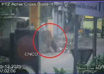 રખડતાં ઢોરના માલિક શોધવા અમદાવાદમાં તંત્રનો ‘સ્માર્ટ’ પ્લાન! AI અને CCTVથી ગાયનું નાક સ્કેન કરાશે | …