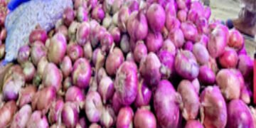 અમદાવાદ: ડુંગળીના ભાવમાં ભડકો, છૂટક બજારમાં ભાવ ₹30થી 50 પ્રતિ કિલોને પાર, હોટલોમાં ક્વોલિટી અને કિં…