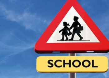 વડોદરામાં બે વર્ષ બાદ પ્રવાસે લઈ જનારી સ્કૂલોની સંખ્યા વધી | schools in vadodara organizing educatio…