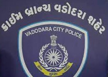 વડોદરાઃ10 લાખની લૂંટમાં 2.54 કરોડ રિકવરના બનાવમાં ફોરેન કરન્સીના ટ્રેડર્સ પર પોલીસની નજર | police wa…