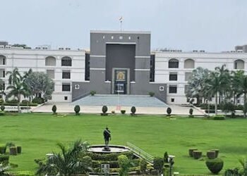 ગુજરાત હાઈકોર્ટનું કડક અવલોકન: ત્રાસ આપતા પતિની સજા માફ, આશરો ન આપનાર માતા-પિતા ગુનાને પાત્ર | Haras…