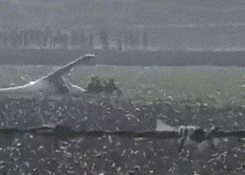 પ્રયાગરાજમાં વાયુસેનાનું ટ્રેઈની વિમાન ક્રેશ: સ્થાનિકોએ તળાવમાં કૂદી 2 પાયલોટને બચાવ્યા, જુઓ VIDEO |…