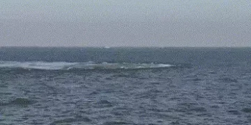 VIDEO : વસઈના સમુદ્રમાં ‘ઉકળતું પાણી’, કુદરતી ગેસ લીકેજ કે પાઇપલાઈન ફાટી તે દિશામાં સઘન તપાસ શરૂ | V…