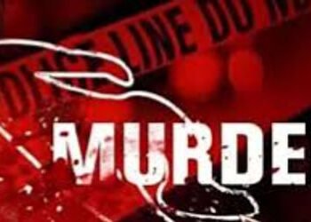 લેતી દેતીમાં માથામાં ટીફિન મારી સહ કર્મચારીની હત્યા | A nielo emon aluwol lon Aslali