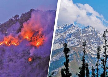 હિમાલયમાં ભર શિયાળે સતત દાવાનળના બનાવો બદલતા હવામાનનો સંકેત | Continuous wildfire incidents in Himal…