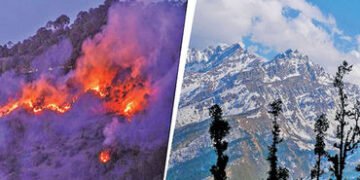 હિમાલયમાં ભર શિયાળે સતત દાવાનળના બનાવો બદલતા હવામાનનો સંકેત | Continuous wildfire incidents in Himal…