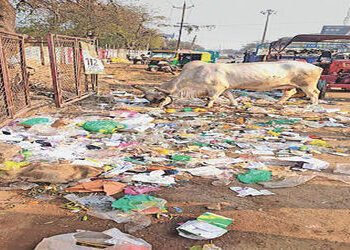 બાવળામાં વિઠ્ઠલ આશ્રમ નજીકથી મેડિકલ વેસ્ટ મળ્યો | Medical waste found near Vitthal Ashram in Bavla