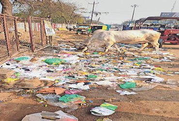 બાવળામાં વિઠ્ઠલ આશ્રમ નજીકથી મેડિકલ વેસ્ટ મળ્યો | Medical waste found near Vitthal Ashram in Bavla