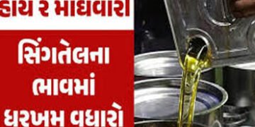 સૌરાષ્ટ્ર સિંગતેલમાં એક દિવસમાં જ 40 સહિત મહિનામાં 200નો વધારો | Saurashtra Singtel increases by 200…