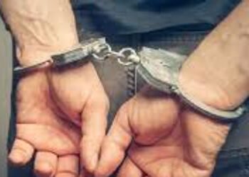 શેરખી ગામમાં અફીણ વેચતો આરોપી ઝડપાયો | Accused of selling opium arrested in Sherkhi village