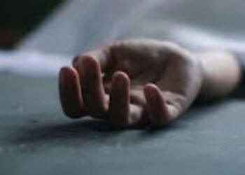 વિશ્વામિત્રી નદીના કિનારા પાસેથી ડિકમ્પોઝ બોડી મળી | Decomposed body found near the banks of Vishwam…