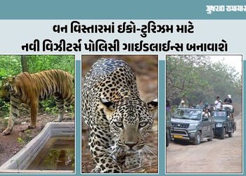 રતનમહાલમાં વાઘના સંરક્ષણ માટે ગ્રામજનોને અપાશે તાલીમ, રાજ્યમાં દીપડાઓ માટે બનશે નવું અભયારણ્ય | Vill…