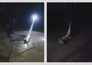 વડોદરા: કરજણના ચોરભુજમાં મગરની કરપીણ હત્યા, લાકડીઓથી ફટકારી મોતને ઘાટ ઉતારનાર બે આરોપીની ધરપકડ | Vad…