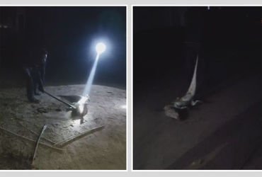 વડોદરા: કરજણના ચોરભુજમાં મગરની કરપીણ હત્યા, લાકડીઓથી ફટકારી મોતને ઘાટ ઉતારનાર બે આરોપીની ધરપકડ | Vad…