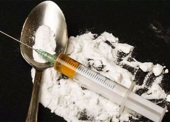 ભાવનગરમાંથી વર્ષ 2025 માં 24 લાખનું ડ્રગ્સ અને 49 લાખનો ગાંજો ઝડપાયો | Drugs worth Rs 24 lakh and ma…