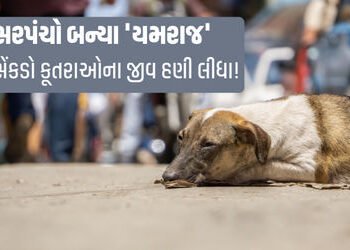 અબોલ પશુઓની ચીસ સાંભળનારું કોઈ નથી? ચૂંટણીનો વાયદો પૂર્ણ કરવા 900 કૂતરાઓને ઝેર અપાયું | Telangana Ho…
