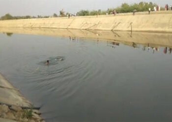 ફલોલીની પરિણીતાની પતિ, સાસરિયાના ત્રાસથી કંટાળી નહેરમાં મોતની છલાંગ | fed up with the harassment of …