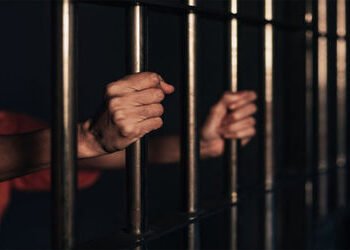 બગદાણા પ્રકરણમાં જયરાજ આહિરને જેલ હવાલે કરાયો | Jairaj Ahir sent to jail in Bagdana case