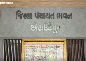 છોટાઉદેપુર: ગ્રાન્ટ આપો સરકાર! ગરીબને રોજગારી આપતા કમર્ચારીઓનો 3 મહિનાથી પગાર અટક્યો | Chhota Udaipu…