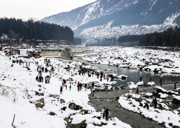 બરફની મજા લેવા હિમાચલ ગયેલા પ્રવાસીઓ અટવાયા! 1250 રસ્તા બંધ, કોલ્ડવેવનું એલર્ટ | Snowfall Disrupts H…