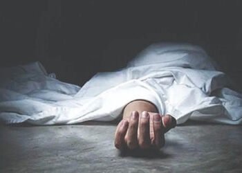 મકરપુરા જીઆઇડીસીમાં મજૂરી માટે ગયેલા શ્રમજીવી પર ક્રેનના પેંડા ફરી વળતા સ્થળ પર જ મોત | Vadodara: A …