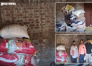 અમરેલી: સાવરકુંડલામાં સસ્તા અનાજનું કૌભાંડ પકડાયું, 1 લાખ 19 હજારનો મુદ્દામાલ જપ્ત | Amreli news Sav…