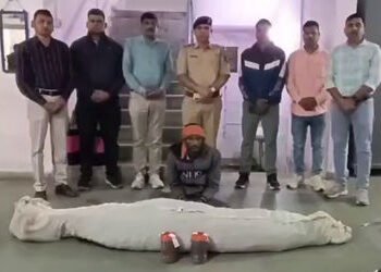 VIDEO | પંચમહાલ: મોરવાહડફના સાગવાડા ગામે રીંગણ-મરચીની આડમાં 21 કિલો ગાંજા ઝડપાયો, એકની ધરપકડ | Illeg…