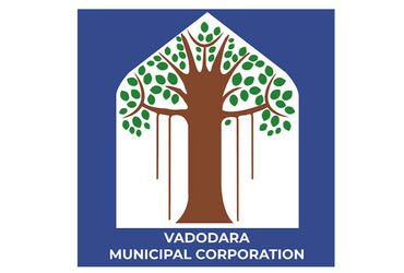 ચિકન, ફિશ, મંટન, કેક, મોમોજ સહિતના જથ્થાનો નાશ કરાયો | Chicken fish mantan cakes momos etc were dest…