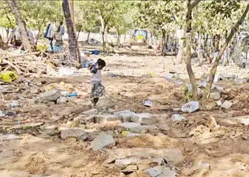 સેક્ટર-૭, ૧૧, ૧૨, ૧૩ અને ૨૯માં ૩૫૦ ઝુંપડા અને છાપરા ઉખેડી ફેકાયાં | 350 shacks and thatched roofs we…