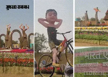 અમદાવાદમાં ફ્લાવર શો ફ્લોપ: 17 કરોડનો ખર્ચો કર્યા છતાં બે લાખ મુલાકાતી ઘટ્યાં! | ₹17 Crore Flower Sh…