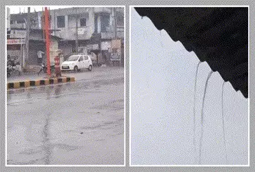 ગુજરાતના વાતાવરણમાં પલટો: અરવલ્લી અને ડાંગમાં કમોસમી વરસાદથી ખેડૂતો ચિંતિત, બટાકા-ઘઉંના પાક પર જોખમ …