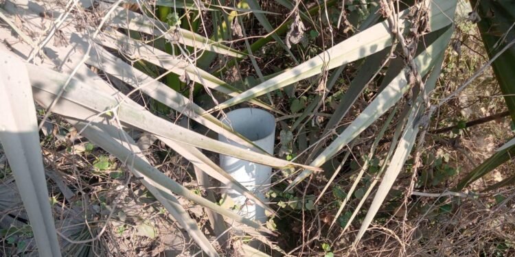 પઢીયાર ગામે નળ સે જળ યોજનામાં ગેરરીતિની તપાસ કરવા મુખ્યમંત્રી કાર્યાલયના આદેશ