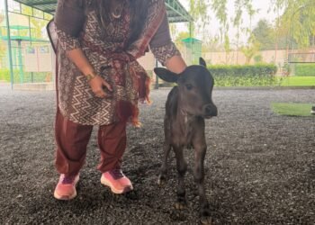 પશુપાલન ક્ષેત્રે ગુજરાતનું ગૌરવ – ‘ ધૂન ધ પેટિંગ ફાર્મ