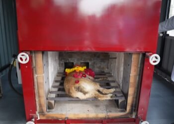 AMCના સીએનસીડી વિભાગની સંવેદનશીલ પહેલ: