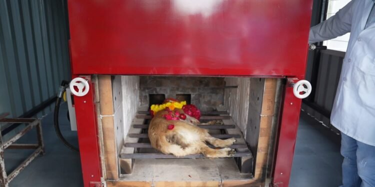 AMCના સીએનસીડી વિભાગની સંવેદનશીલ પહેલ: