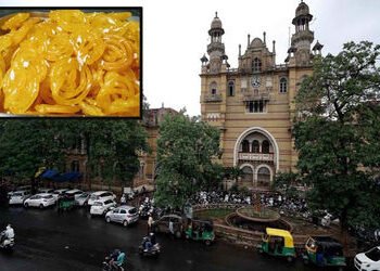 વડોદરા: નિયમભંગ કરનાર હોટલ-લારીઓ પર ફૂડ વિભાગની તવાઈ, અખાદ્ય જથ્થાનો નાશ કરી દંડ ફટકારાયો | Action t…