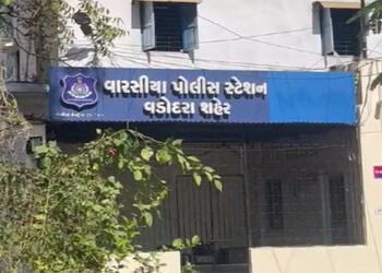 પાઈનેપલ ખરીદવા માટે લારી પર ઉભી રહેલી સમાજ સેવિકાનું ટુ વ્હીલર પર લટકાવેલુ પર્સ લઈને રીક્ષા ચાલક ફરા…