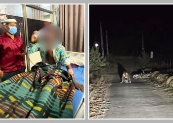 પાલનપુરમાં હડકાયા શ્વાન જેવું વર્તન કરતો યુવક 24 કલાકમાં સ્વસ્થ, જાણો ડોક્ટરોએ શું કહ્યું? | Palanpu…