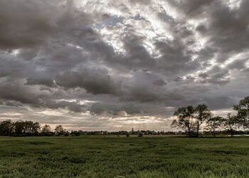 વડોદરામાં વાતાવરણમાં પલટો : શહેરમાં સાતેક દિવસ સુધી વાદળછાયા વાતાવરણની સંભાવના | Change in weather i…