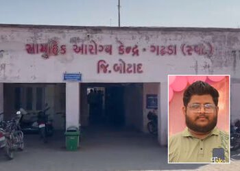 ગઢડા: પરબે પાણી પીવા ગયેલા યુવક પર મધમાખીઓનો હુમલો, હોસ્પિટલ પહોંચે તે પહેલા જ કરુણ મોત, પરિવારનો આક…