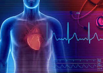 ગોંડલમાં શારીરિક કસોટી પાસ કર્યા બાદ યુવાનનું હદય થંભી ગયું | Young man’s heart stopped after passin…