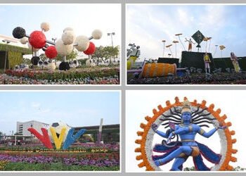 અમદાવાદ ફ્લાવર શોના ફૂલ-છોડ નેતા-અધિકારીઓનું આંગણું શોભાવશે? ઢાંકપિછોડો કરવા આયોજન | Ahmedabad Flowe…