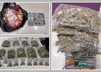 સ્મગલિંગનો નવો કિમીયો! ચોકલેટના પેકેટમાં ગાંજો લાવેલી મહિલા ઝડપાઈ, અમદાવાદ એરપોર્ટ પર કાર્યવાહી | Ba…