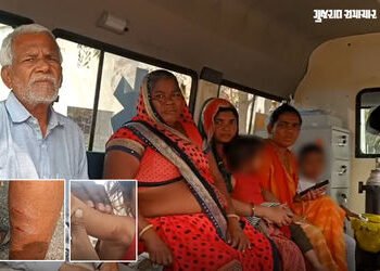 અમરેલીના મોટા લીલીયા ગામે શ્વાનોનો આતંક, 6 લોકો અને 8 પશુઓને બચકા ભર્યા | Amreli news Mota Liliya vi…