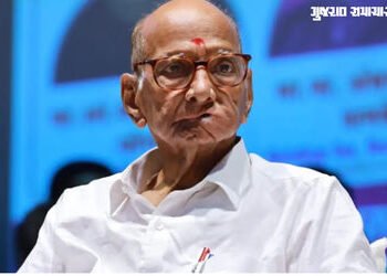 ‘ફડણવીસને NCPના વિલય પર બોલવાનો કોઈ અધિકાર નથી’, શરદ પવારનું સૂચક નિવેદન | sharad pawar reaction on …