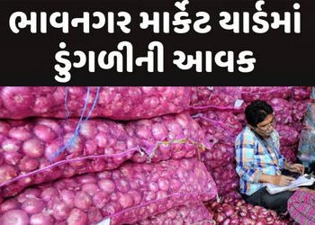 ભાવનગર યાર્ડમાં ભાવની વધ-ઘટ વચ્ચે 10 દિવસમાં ડુંગળીની 3.35 લાખ ગુણી ઉતરી | 3 35 lakh tons of onions …
